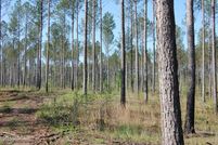 Land for sale in Monroe County, Georgia