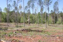 Land for sale in Monroe County, Georgia