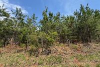 Land for sale in Campbell County, Virginia