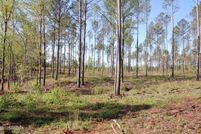 Land for sale in Monroe County, Georgia