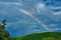 Undeveloped Land for sale in Alleghany County, North Carolina