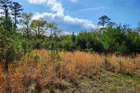 Undeveloped Land in Horry County, South Carolina