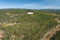 Undeveloped Land for sale in Custer County, South Dakota