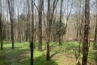 Land for sale in Taylor County, Kentucky