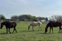 Land for sale in Hunt County, Texas