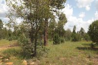 Homesite for sale in Navajo County, Arizona