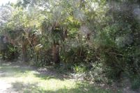 Land for sale in Levy County, Florida
