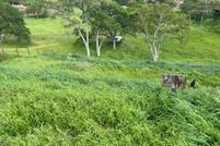 Timberland Property for sale in Calaveras County, California