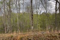 Land for sale in Gilmer County, Georgia