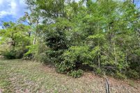 Undeveloped Land for sale in Levy County, Florida