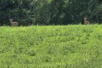 Farm and Ranch for sale in Carroll County, Illinois