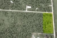 Undeveloped Land for sale in Navarro County, Texas
