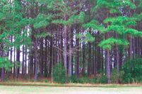Undeveloped Land in Brunswick County, North Carolina