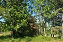 Land for sale in Walker County, Alabama