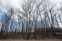 Homesite for sale in Fond du Lac County, Wisconsin