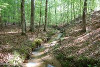 Land for sale in Monroe County, Georgia