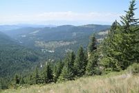 Undeveloped Land for sale in Stevens County, Washington