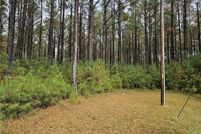 Undeveloped Land for sale in Sussex County, Virginia
