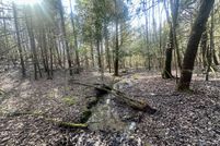 Timberland Property for sale in McCreary County, Kentucky