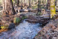 Land for sale in Shasta County, California
