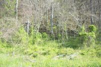 Timberland Property for sale in Hancock County, Tennessee