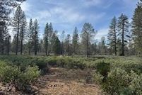 Undeveloped Land for sale in Shasta County, California