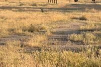 Land for sale in Kern County, California