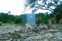 Land in Edwards County, Texas