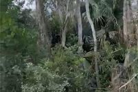 Land for sale in Lee County, Florida