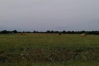 Undeveloped Land for sale in Greene County, Missouri