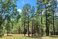 Land for sale in Coconino County, Arizona