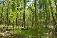 Farm and Ranch for sale in Amite County, Mississippi