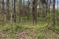 Undeveloped Land for sale in Van Buren County, Arkansas