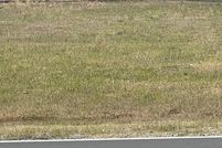 Undeveloped Land for sale in Marion County, Florida