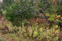 Farm and Ranch for sale in Mackinac County, Michigan