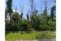 Undeveloped Land for sale in Lee County, Florida