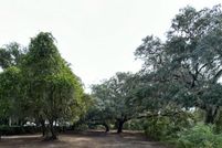 Timberland Property for sale in Marion County, Florida