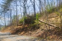 Undeveloped Land for sale in Sevier County, Tennessee