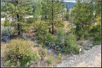 Homesite for sale in Boise County, Idaho