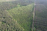 Farm and Ranch for sale in Williamsburg County, South Carolina