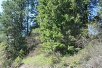 Land for sale in Stevens County, Washington