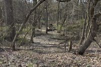 Land for sale in Montcalm County, Michigan