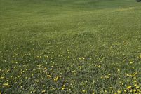 Farm and Ranch for sale in Poweshiek County, Iowa