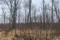 Land for sale in Price County, Wisconsin