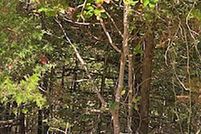 Lakefront Property for sale in Sharp County, Arkansas