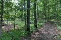 Undeveloped Land for sale in Emmet County, Michigan