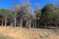 Undeveloped Land for sale in Grayson County, Texas