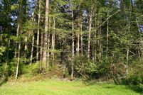Undeveloped Land for sale in Clallam County, Washington