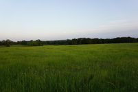 Undeveloped Land for sale in Henderson County, Texas