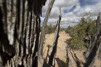 Land for sale in Apache County, Arizona